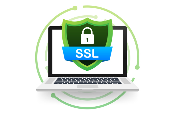 What is an SSL Certificate: Purpose, Types, and Installation
